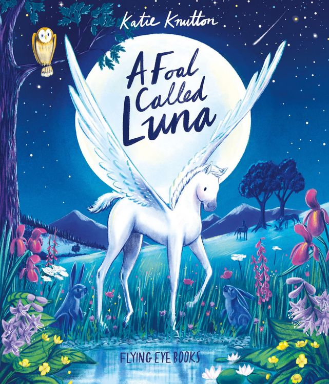 Produktbild: A Foal Called Luna
