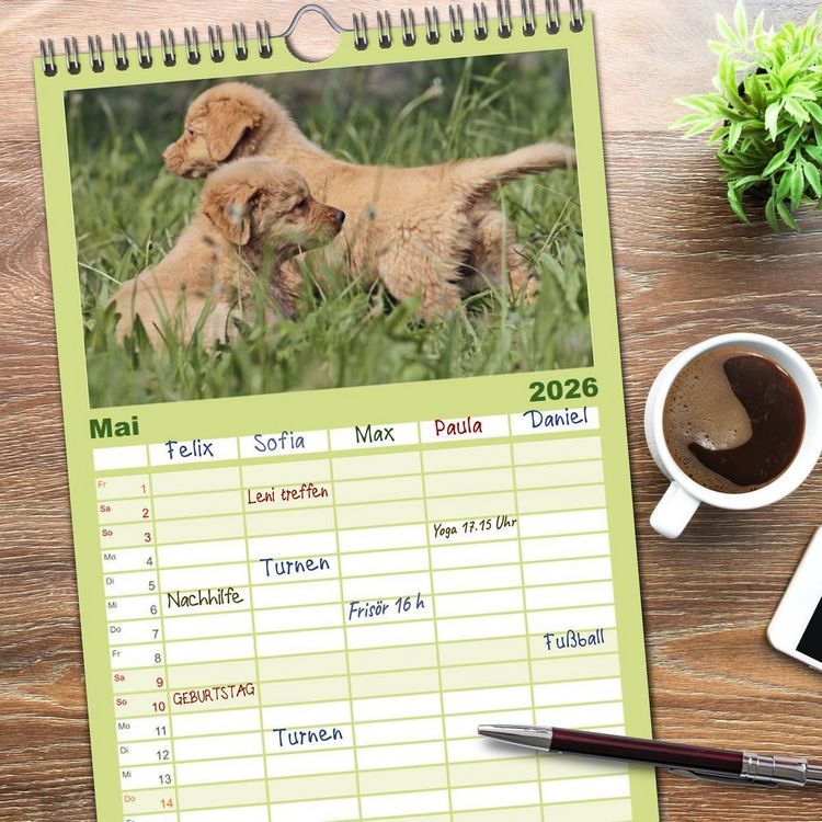Produktbild: Familienplaner 2026 - Nova Scotia Duck Tolling Retriever mit 5 Spalten (Wandkalender, 21 x 45 cm) CALVENDO