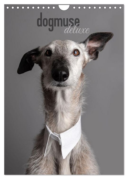 Produktbild: dogmuse deluxe (Wandkalender 2026 DIN A4 hoch), CALVENDO Monatskalender