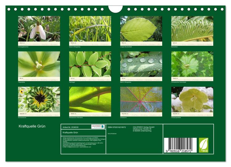 Produktbild: Kraftquelle Gr&uuml;n (Wandkalender 2026 DIN A4 quer), CALVENDO Monatskalender
