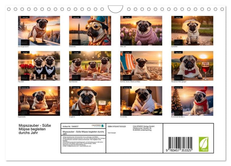 Produktbild: Mopszauber - S&uuml;&szlig;e M&ouml;pse begleiten durchs Jahr (Wandkalender 2026 DIN A4 quer), CALVENDO Monatskalender