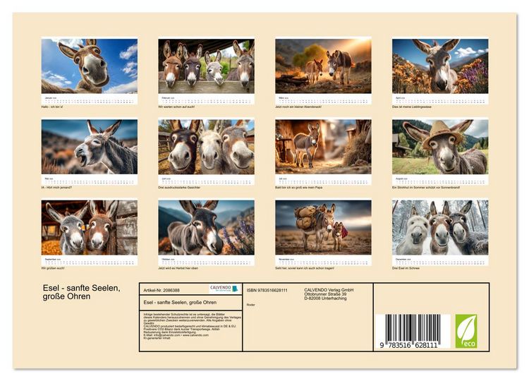Produktbild: Esel - sanfte Seelen, gro&szlig;e Ohren (Wandkalender 2026 DIN A4 quer), CALVENDO Monatskalender