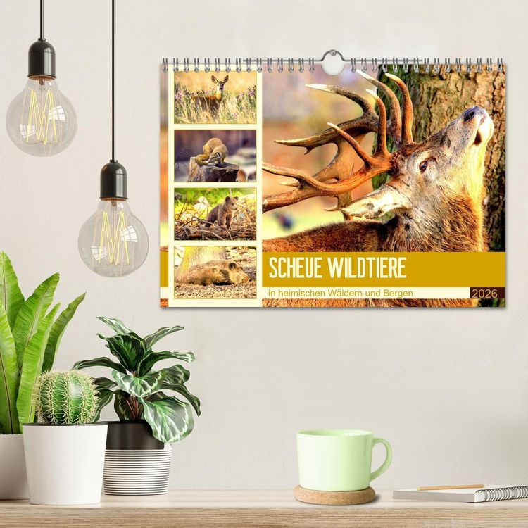 Produktbild: Scheue Wildtiere in heimischen W&auml;ldern und Bergen (Wandkalender 2026 DIN A4 quer), CALVENDO Monatskalender