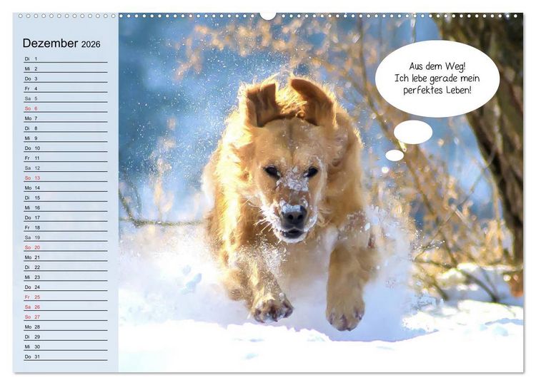 Produktbild: Hurra! Wir gehen Gassi! Abenteuer mit dem Hund! (Wandkalender 2026 DIN A2 quer), CALVENDO Monatskalender