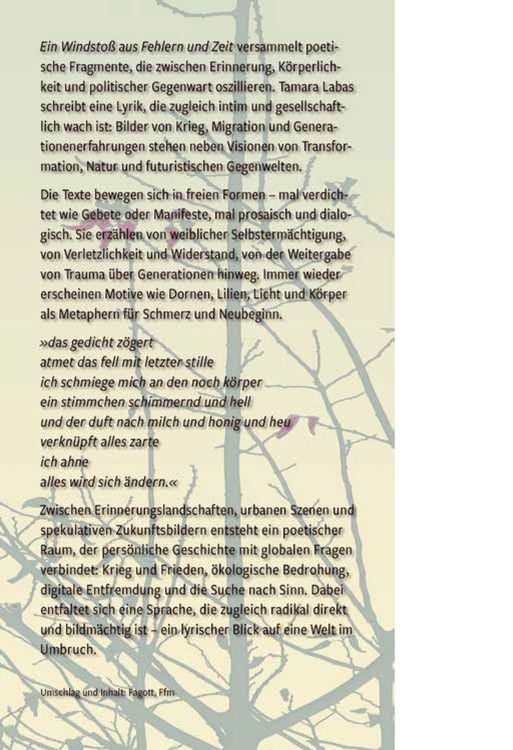 Produktbild: Ein Windsto&szlig; aus Fehlern und Zeit