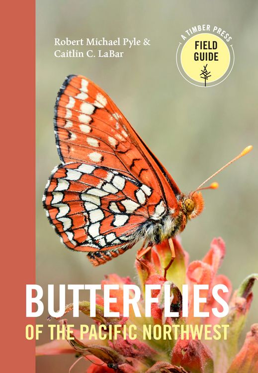 Produktbild: Butterflies of the Pacific Northwest