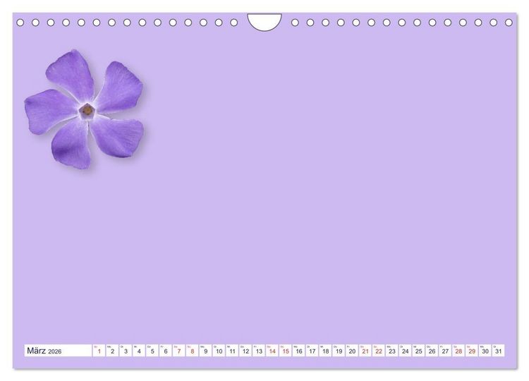 Produktbild: DIY POESIE - BASTELKALENDER (Wandkalender 2026 DIN A4 quer), CALVENDO Monatskalender