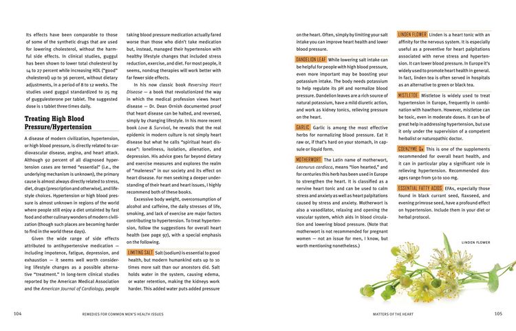 Produktbild: Rosemary Gladstar's Herbal Healing for Men