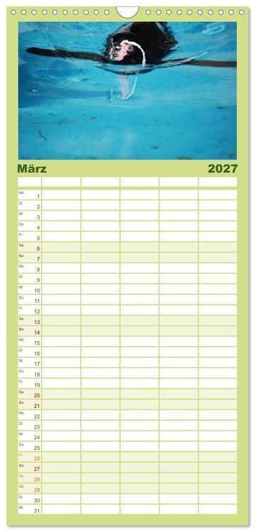 Produktbild: Familienplaner 2027 - Pinguine 2027 mit 5 Spalten (Wandkalender, 21 x 45 cm) CALVENDO