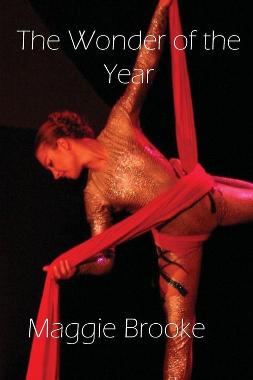 Produktbild: The Wonder of the Year