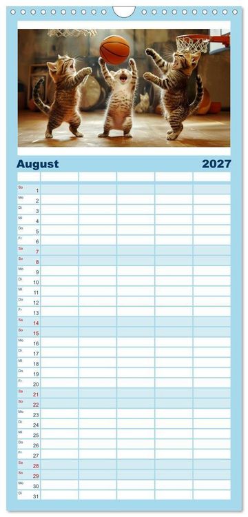 Produktbild: Familienplaner 2027 - Lustige Sportarten f&uuml;r Katzen mit 5 Spalten (Wandkalender, 21 x 45 cm) CALVENDO