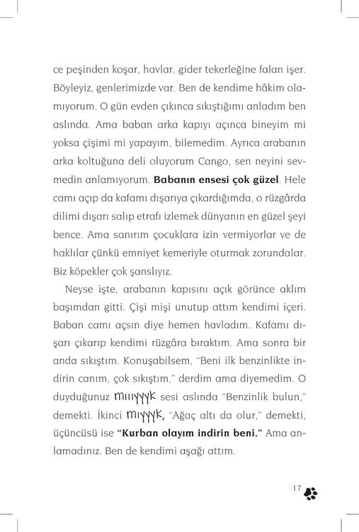 Produktbild: Cingo