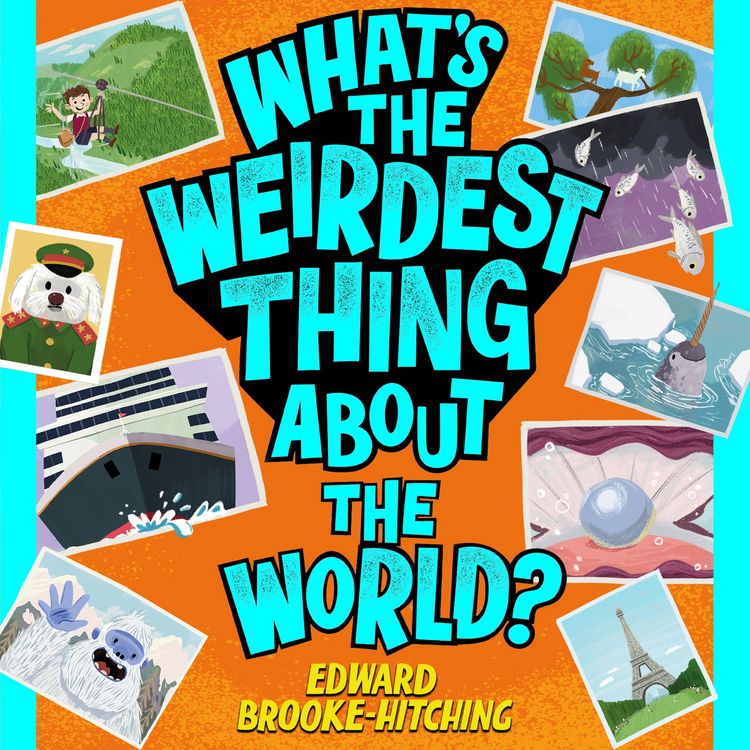 Produktbild: What's the Weirdest Thing About the World?