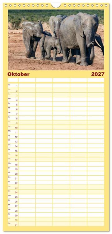 Produktbild: Familienplaner 2027 - Afrikas Tierwelt: Elefantenbabys mit 5 Spalten (Wandkalender, 21 x 45 cm) CALVENDO