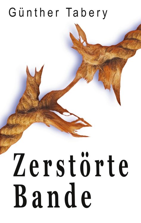 Produktbild: Zerst&ouml;rte Bande