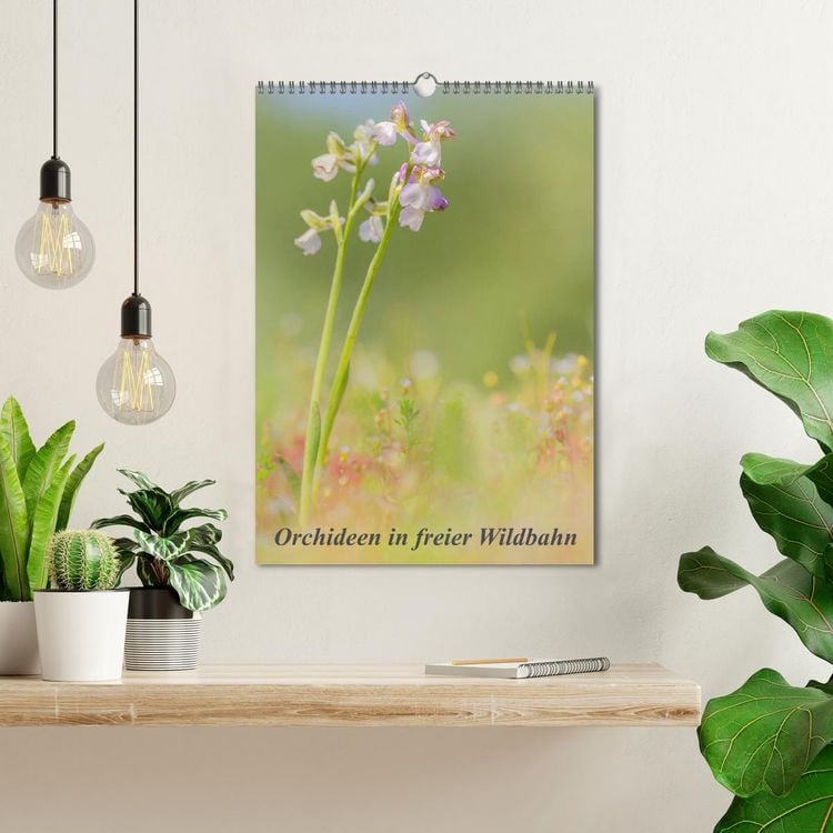 Produktbild: Orchideen in freier Wildbahn (Wandkalender 2026 DIN A3 hoch), CALVENDO Monatskalender