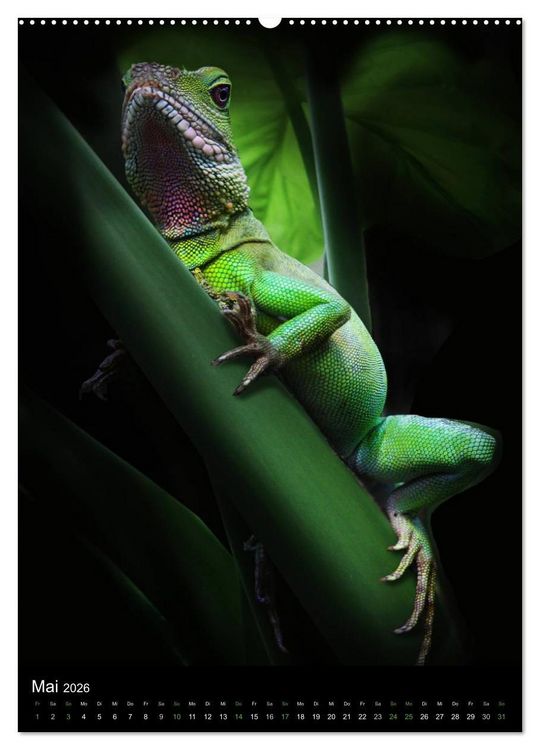 Produktbild: Auge in Auge mit coolen Typen - REPTILIEN (hochwertiger Premium Wandkalender 2026 DIN A2 hoch), Kunstdruck in Hochglanz