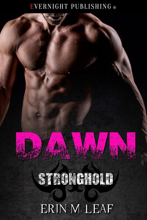 Produktbild: Dawn (Stronghold, #3)