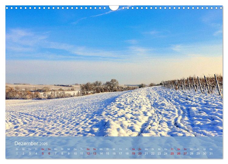 Produktbild: Wanderparadies S&uuml;dpfalz (Wandkalender 2026 DIN A3 quer), CALVENDO Monatskalender