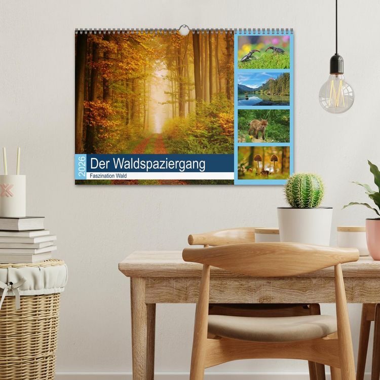 Produktbild: Der Waldspaziergang (Wandkalender 2026 DIN A3 quer), CALVENDO Monatskalender