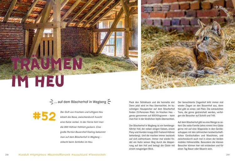 Produktbild: 52 kleine & gro&szlig;e Eskapaden in und um D&uuml;sseldorf