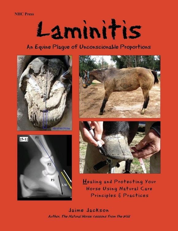 Produktbild: Laminitis