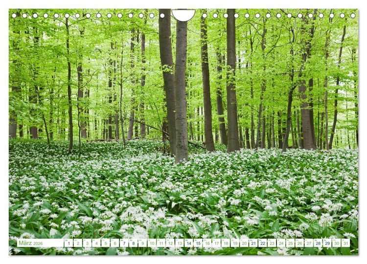 Produktbild: Eifel Reise - romantische Orte (Wandkalender 2026 DIN A4 quer), CALVENDO Monatskalender