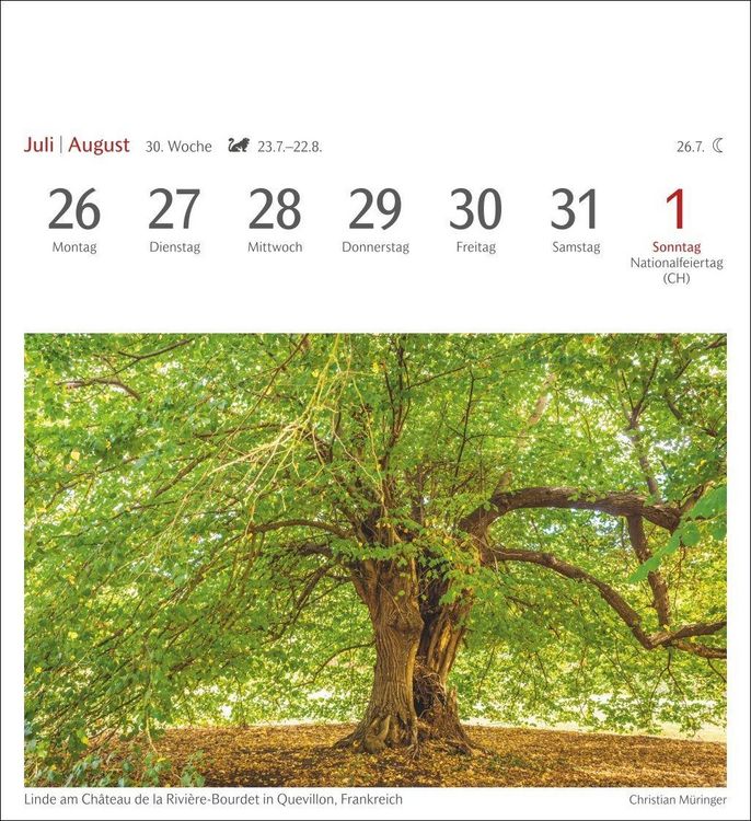 Produktbild: B&auml;ume Postkartenkalender 2027 - Wochenkalender mit 53 Postkarten