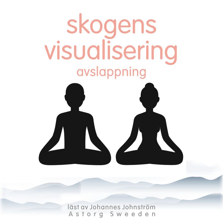 Produktbild: Skogvisualisering avkoppling