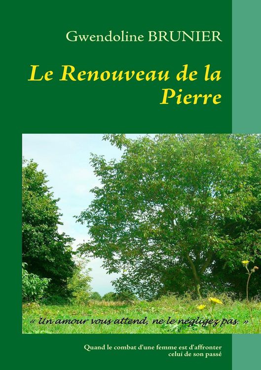 Produktbild: Le Renouveau de la Pierre