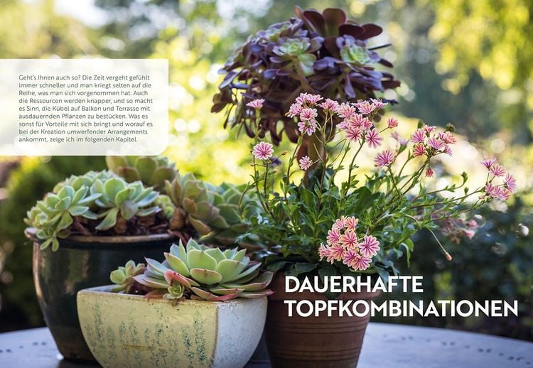 Mein Garten wächst im Topf