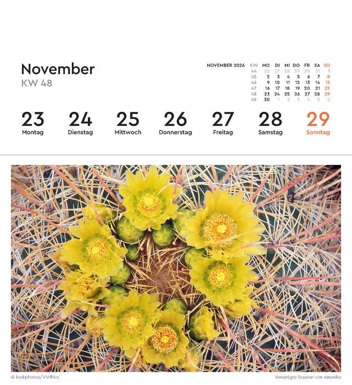 Produktbild: Aufgebl&uuml;ht - KUNTH Postkartenkalender 2026