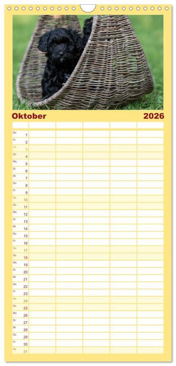 Produktbild: Familienplaner 2026 - Maltipoo Welpen mit 5 Spalten (Wandkalender, 21 x 45 cm) CALVENDO