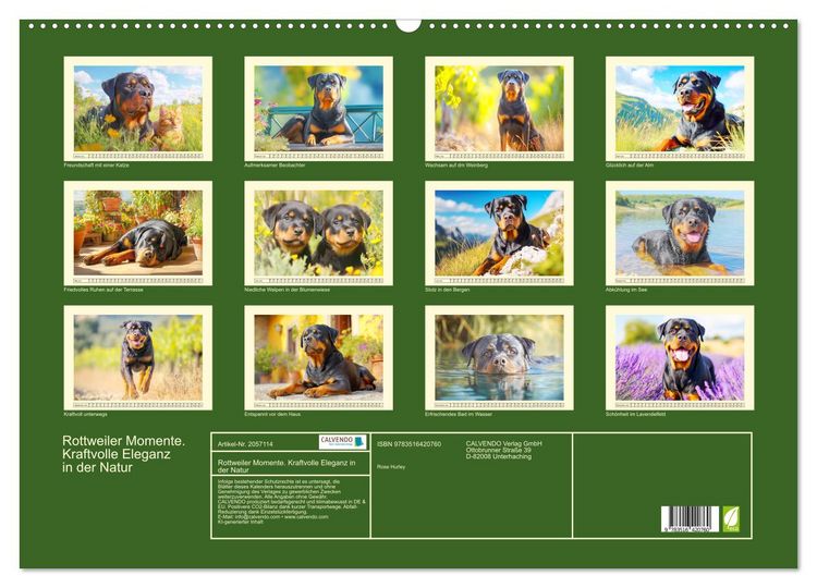 Produktbild: Rottweiler Momente. Kraftvolle Eleganz in der Natur (Wandkalender 2026 DIN A2 quer), CALVENDO Monatskalender