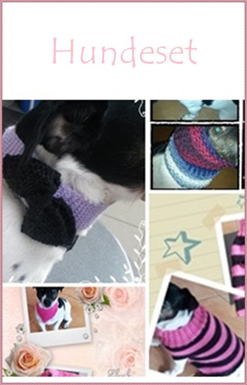 Produktbild: Strickanleitung 4in1 f&uuml;r den Hund- Loop, Hundepulli und mehr