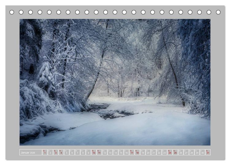 Produktbild: Wald im Licht (Tischkalender 2026 DIN A5 quer), CALVENDO Monatskalender