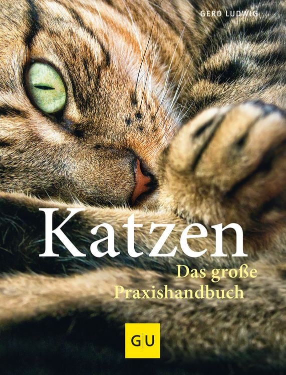 Produktbild: Praxishandbuch Katzen