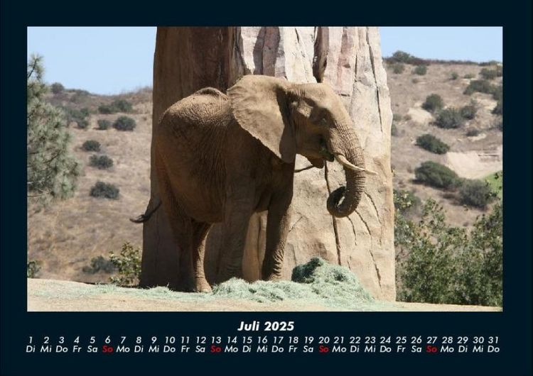Produktbild: Der Tierkalender 2025 Fotokalender DIN A4