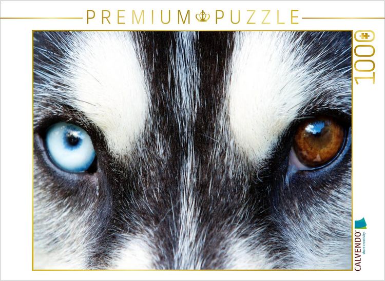 Produktbild: CALVENDO Puzzle Huskyaugen | 1000 Teile Lege-Gr&ouml;&szlig;e 64x48cm Foto-Puzzle f&uuml;r gl&uuml;ckliche Stunden