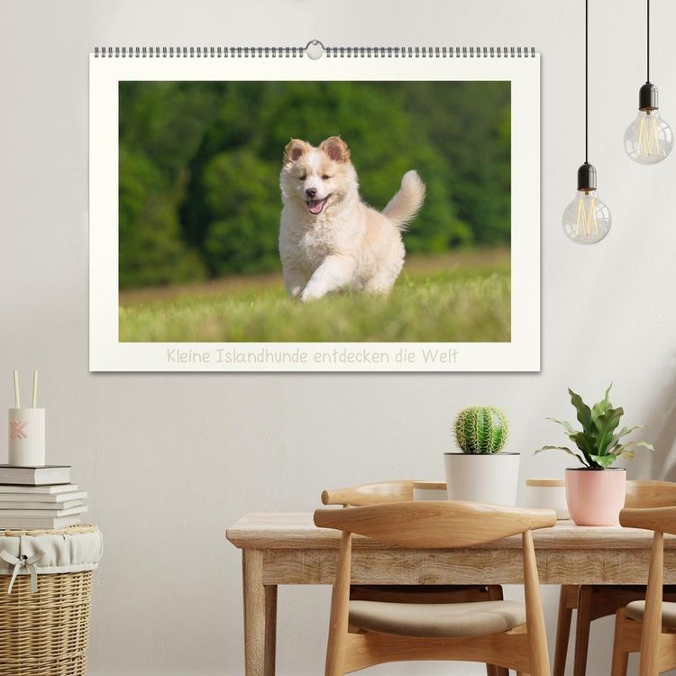 Produktbild: Kleine Islandhunde entdecken die Welt (Wandkalender 2027 DIN A2 quer), CALVENDO Monatskalender