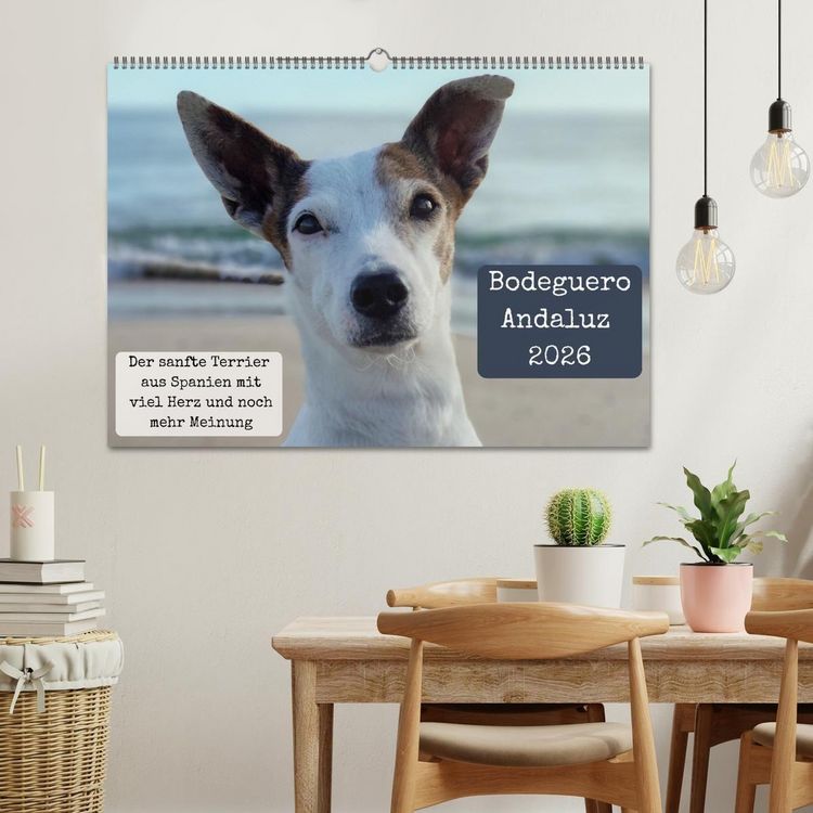 Produktbild: Ratonero Bodeguero Andaluz (Wandkalender 2026 DIN A2 quer), CALVENDO Monatskalender