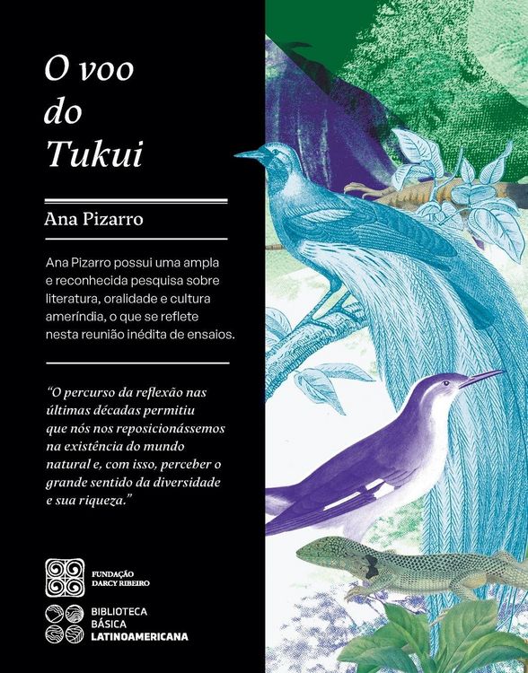 Produktbild: O voo do Tukui
