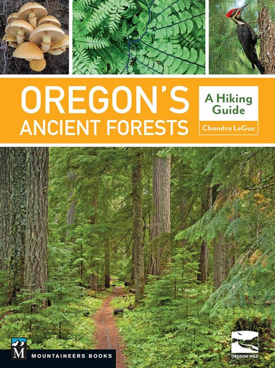 Produktbild: Oregon's Ancient Forests