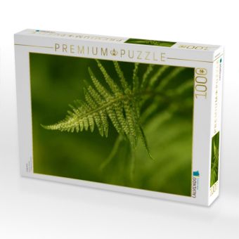 Produktbild: CALVENDO Puzzle Aufgedreht | 1000 Teile Lege-Gr&ouml;&szlig;e 64x48cm Foto-Puzzle f&uuml;r gl&uuml;ckliche Stunden