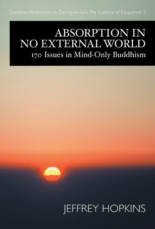 Produktbild: Hopkins, J: Absorption in No External World