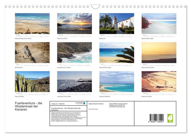 Produktbild: Fuerteventura - die W&uuml;steninsel der Kanaren (Wandkalender 2026 DIN A3 quer), CALVENDO Monatskalender