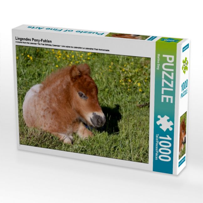 Produktbild: CALVENDO Puzzle Liegendes Pony-Fohlen | 1000 Teile Lege-Gr&ouml;&szlig;e 64x48cm Foto-Puzzle f&uuml;r gl&uuml;ckliche Stunden