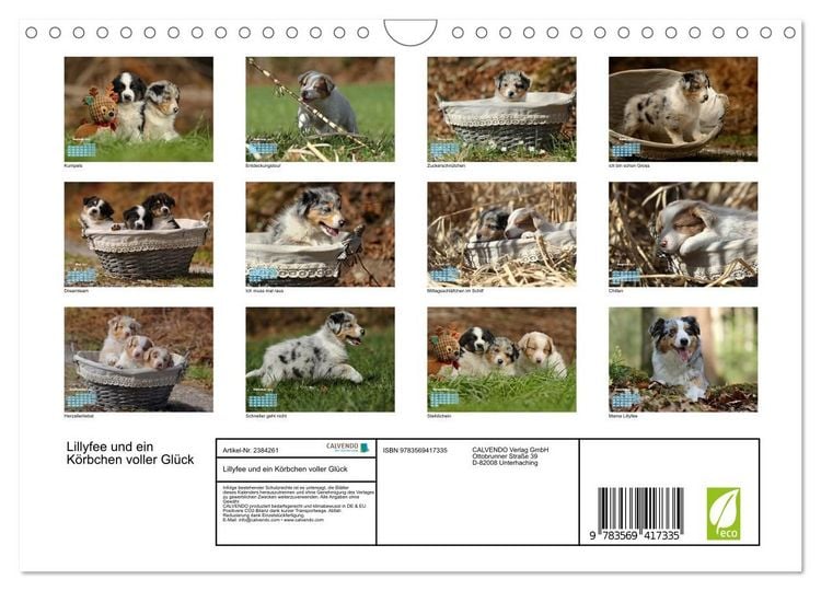 Produktbild: Lillyfee und ein K&ouml;rbchen voller Gl&uuml;ck (Wandkalender 2027 DIN A4 quer), CALVENDO Monatskalender