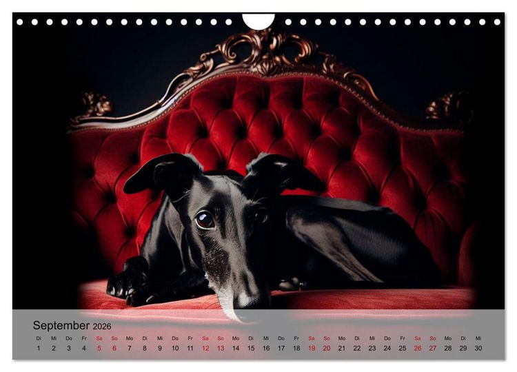 Produktbild: Black is beautiful (Wandkalender 2026 DIN A4 quer), CALVENDO Monatskalender