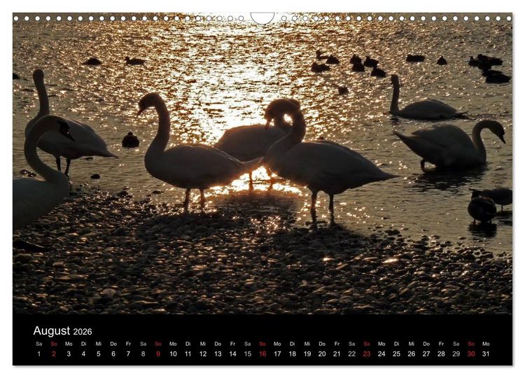 Produktbild: Die Isar - Von Scharnitz bis M&uuml;nchen (Wandkalender 2026 DIN A3 quer), CALVENDO Monatskalender